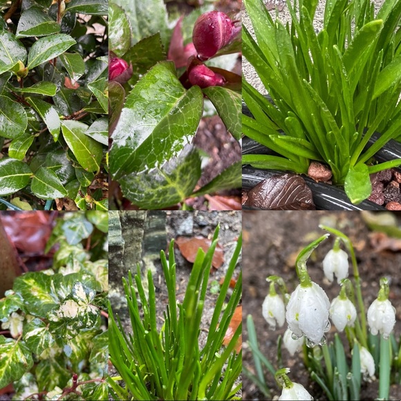 Meet your Posher, - Picture 3 of 4